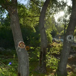 Dormant Dreams Yarn Blast, Coast Oak Circles