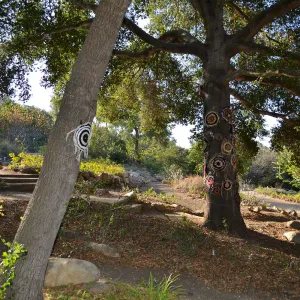 Dormant Dreams Yarn Blast, Coast Oak Circles