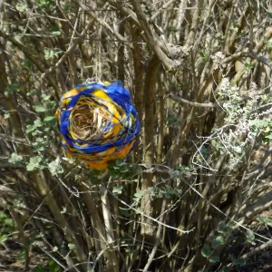 Dormant Dreams Yarn Blast, Desert Section Bird's Nest