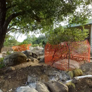 Home Demonstration Garden Renovation, view 7, east of Cottage