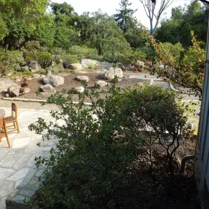 Home Demonstration Garden Renovation, view 18, looking south from south entrance of Cottage