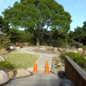 Home Demonstration Garden Renovation, view 27, looking east from deck