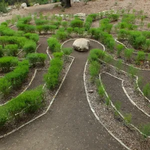 Centennial Maze