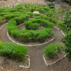 Centennial Maze