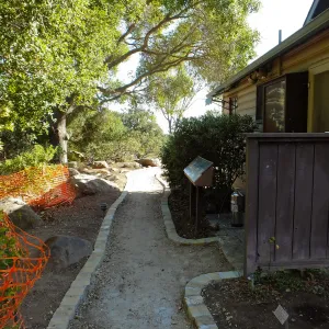 Home Demonstration Garden Renovation, view 6, looking south along path east of Cottage