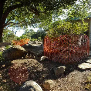 Home Demonstration Garden Renovation, view 7, east of Cottage