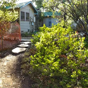 Home Demonstration Garden Renovation, view 5, panorama of northeast side of Cottage