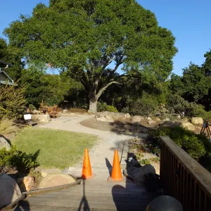 Home Demonstration Garden Renovation, view 27, looking east from deck