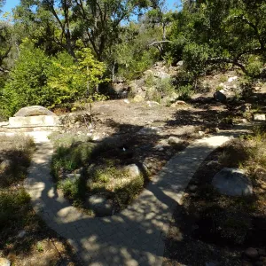 Wooded Dell site preparation