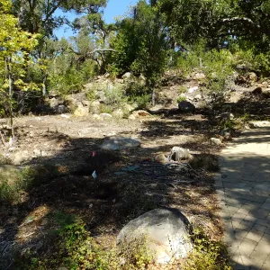 Wooded Dell site preparation