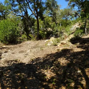 Wooded Dell site preparation panorama