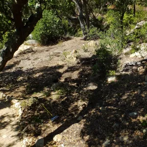 Wooded Dell site preparation