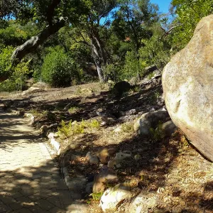 Wooded Dell site preparation, panoramic view along Campbell Trail