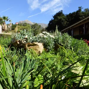 Fall Plant Sale 2015 preparations