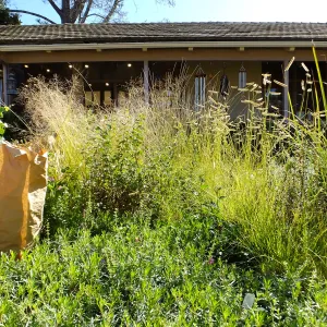 Fall Plant Sale 2015 preparations