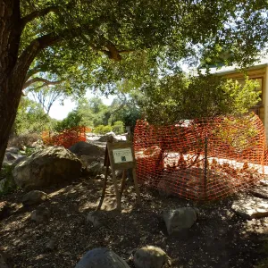 Home Demonstration Garden Renovation, view 7, east of Cottage