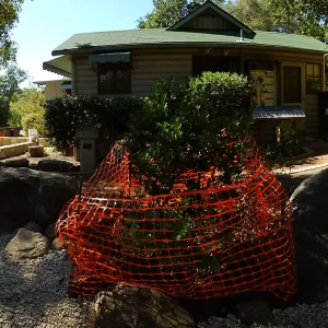 Home Demonstration Garden Renovation, view 9, panorama of east side of Cottage