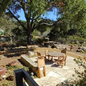 Home Demonstration Garden Renovation, view 19, looking southeast from south entrance of Cottage