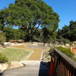 Home Demonstration Garden Renovation, view 27, looking east from deck