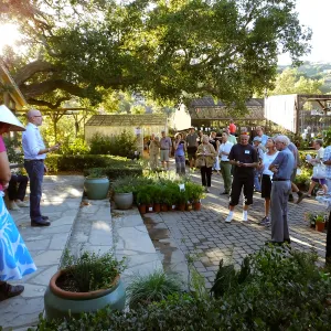 Fall Plant Sale 2015 Members Preview Party