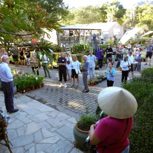 Fall Plant Sale 2015 Members Preview Party