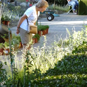 Fall Plant Sale 2015 Members Preview Party