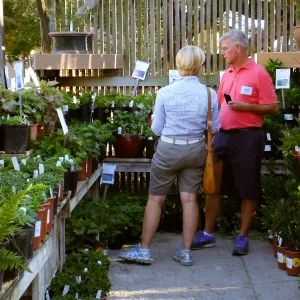 Fall Plant Sale 2015 Members Preview Party