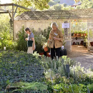 Fall Plant Sale 2015 Members Preview Party