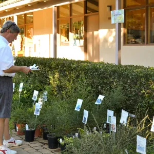 Fall Plant Sale 2015 Members Preview Party