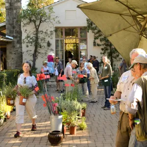 Fall Plant Sale 2015 Members Preview Party