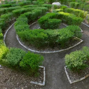 Centennial Maze