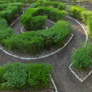 Centennial Maze
