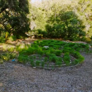 Centennial Maze