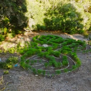 Centennial Maze