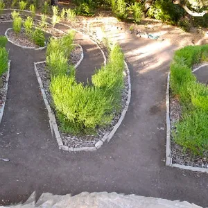 Centennial Maze