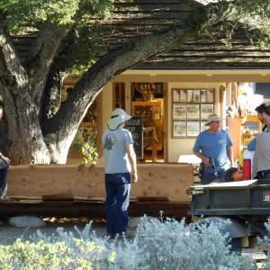 Installation of the Katharine K. Muller Bench