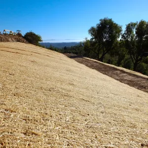 Pritzlaff Conservation Center Construction, erosion control matting