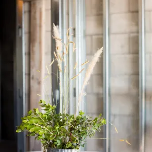 Pritzlaff Conservation Center, Wishes in the Walls event