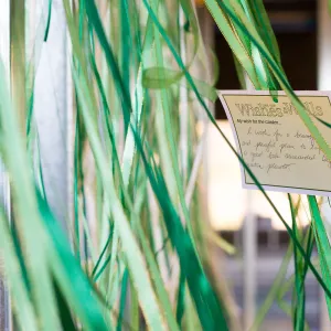 Pritzlaff Conservation Center, Wishes in the Walls event, Wishing Wall