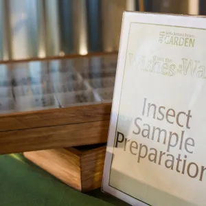 Pritzlaff Conservation Center, Wishes in the Walls event