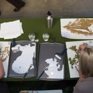 Pritzlaff Conservation Center, Wishes in the Walls event, Herbarium specimen mounting