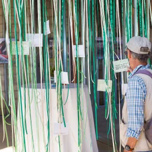 Pritzlaff Conservation Center, Wishes in the Walls event