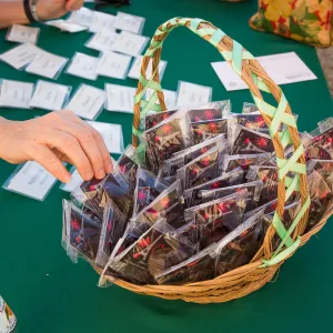 Pritzlaff Conservation Center, Wishes in the Walls event
