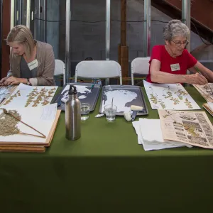 Pritzlaff Conservation Center, Wishes in the Walls event