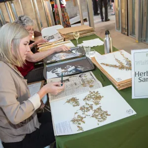Pritzlaff Conservation Center, Wishes in the Walls event