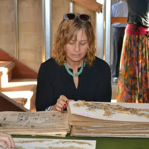 Pritzlaff Conservation Center, Wishes in the Walls event