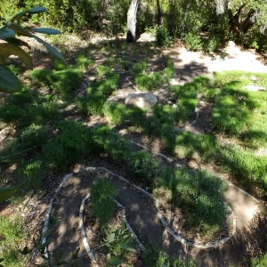Centennial Maze