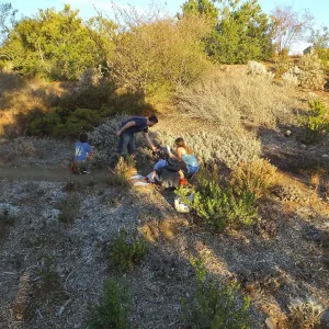 UCSB students learning how to make plant and tissue collections