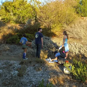 UCSB students learning how to make plant and tissue collections