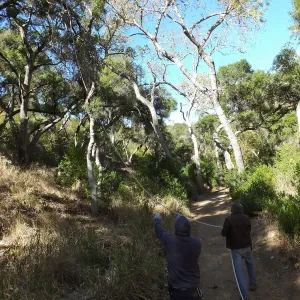 Clearing a broken tree branch